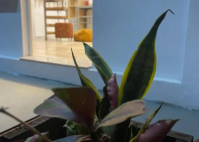 Flowers Lullaby Loft Σπίτι διακοπών