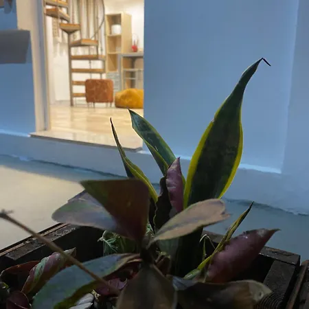Flowers Lullaby Loft Ferienhaus