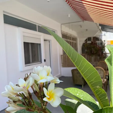 Flowers Lullaby Loft Ferienhaus