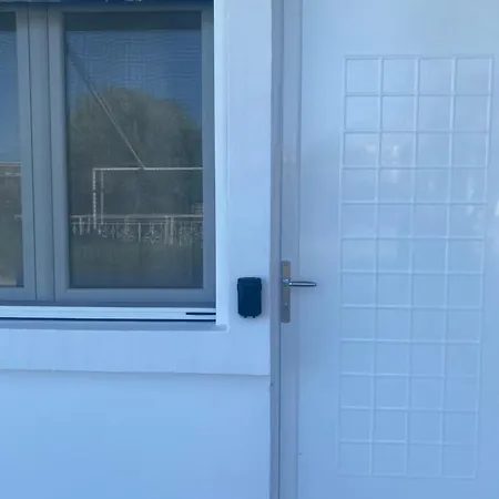 Flowers Lullaby Loft * 阿凡投