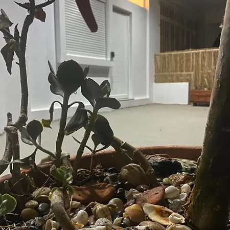 度假居 Flowers Lullaby Loft 阿凡投